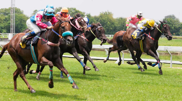 Cheltenham Festival: A Celebration of Horse Racing Excellence
