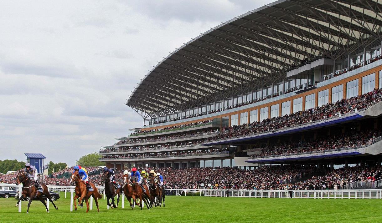 The Excitement of Ascot Horse Racing: A Tradition Like No Other