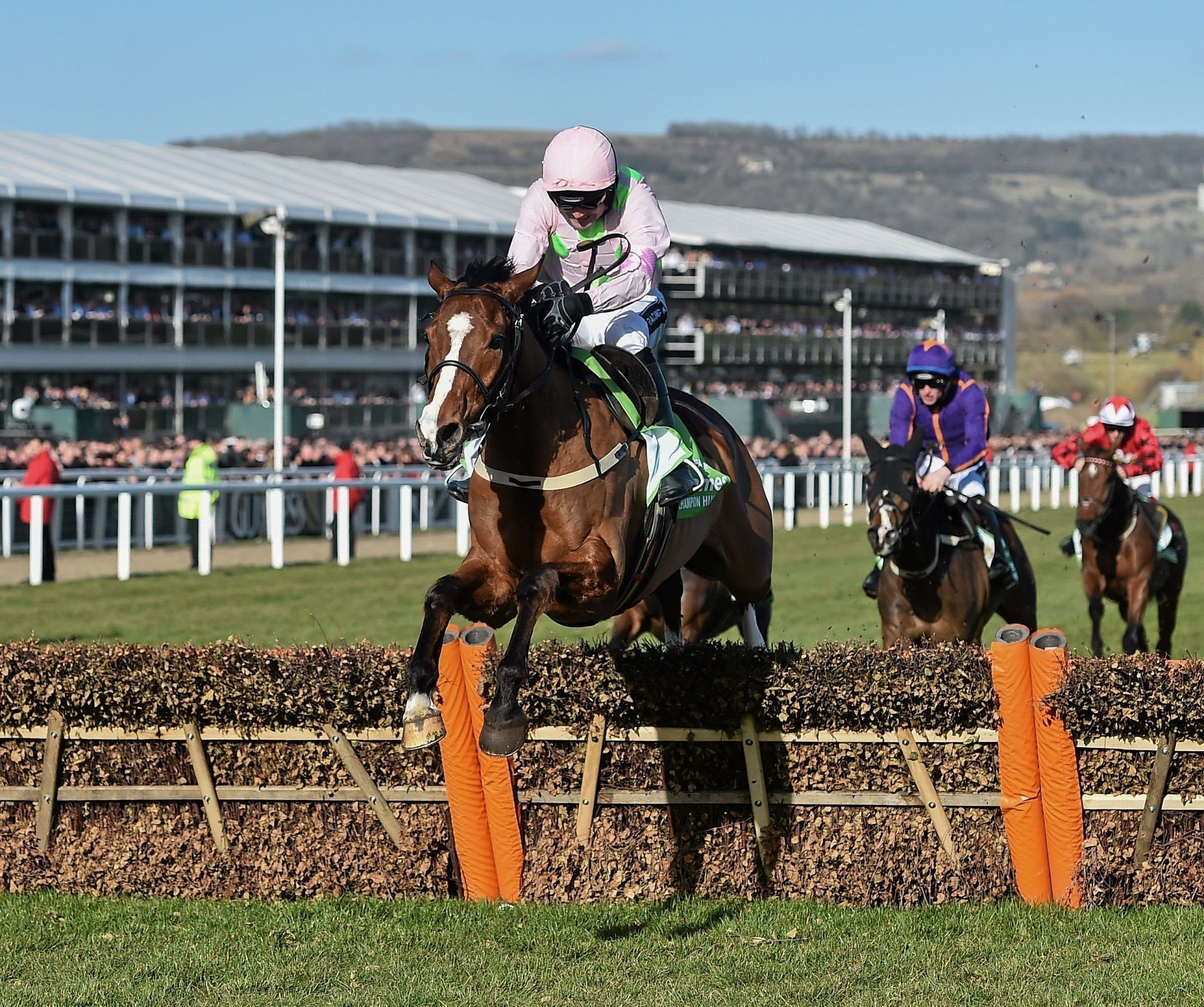 The Cheltenham Festival: A Spectacle of Racing Excellence