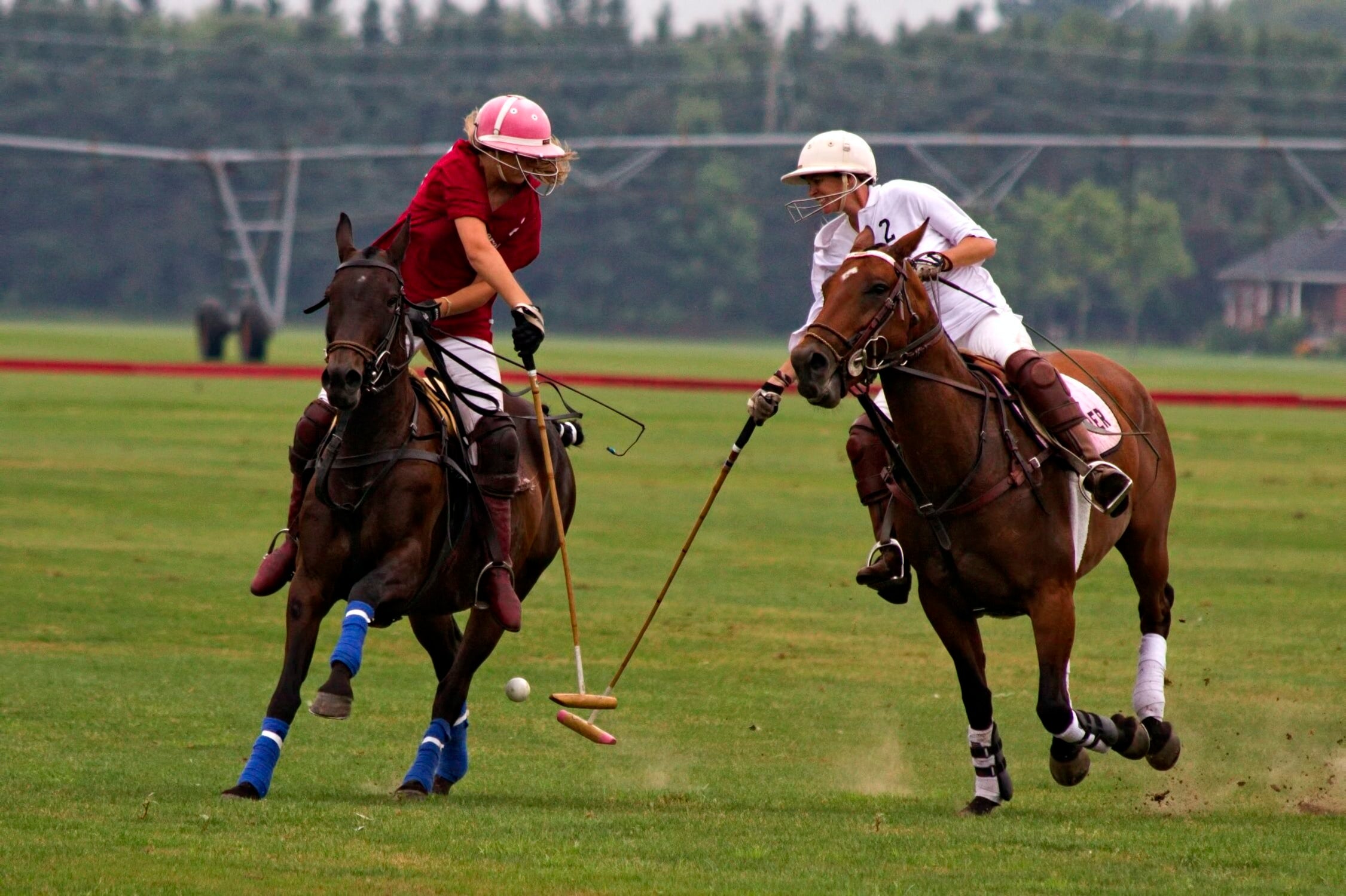 Polo: The Sport of Kings