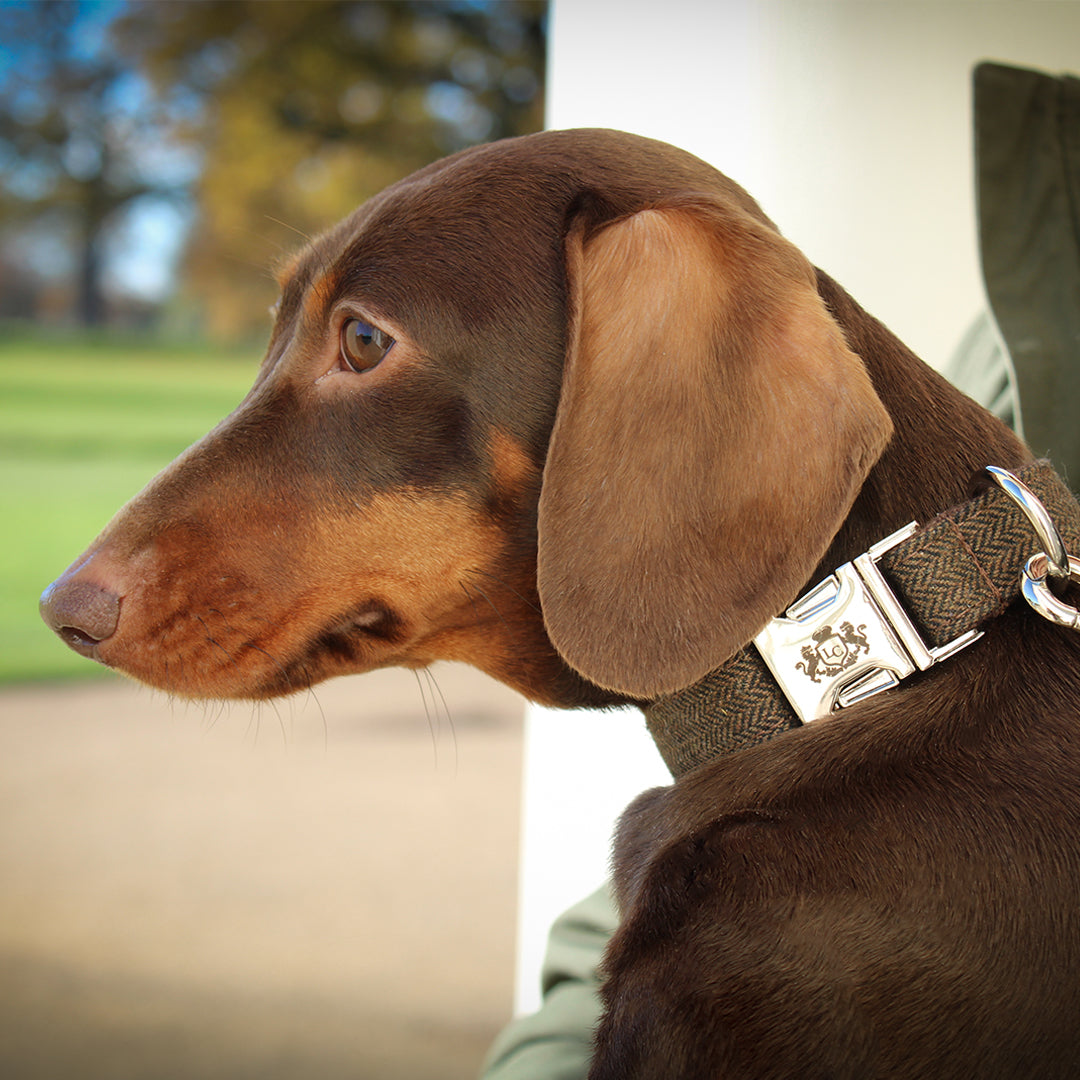 Lords Herringbone Dog Collar - Brown