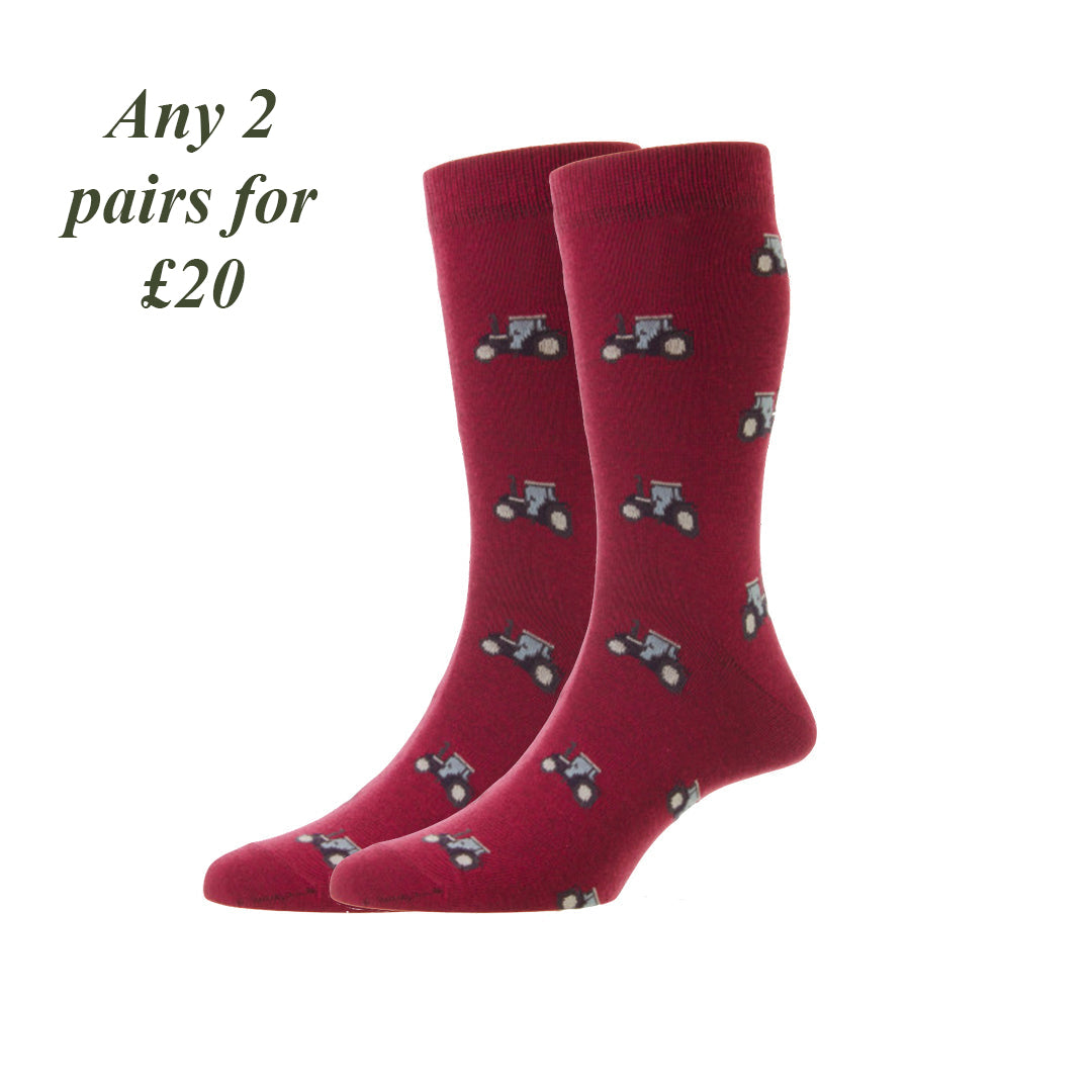 Tractor Socks - Claret